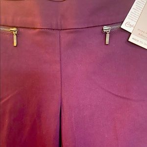 Candie’s Audrey Fit—Pull On—Flattens Tummy